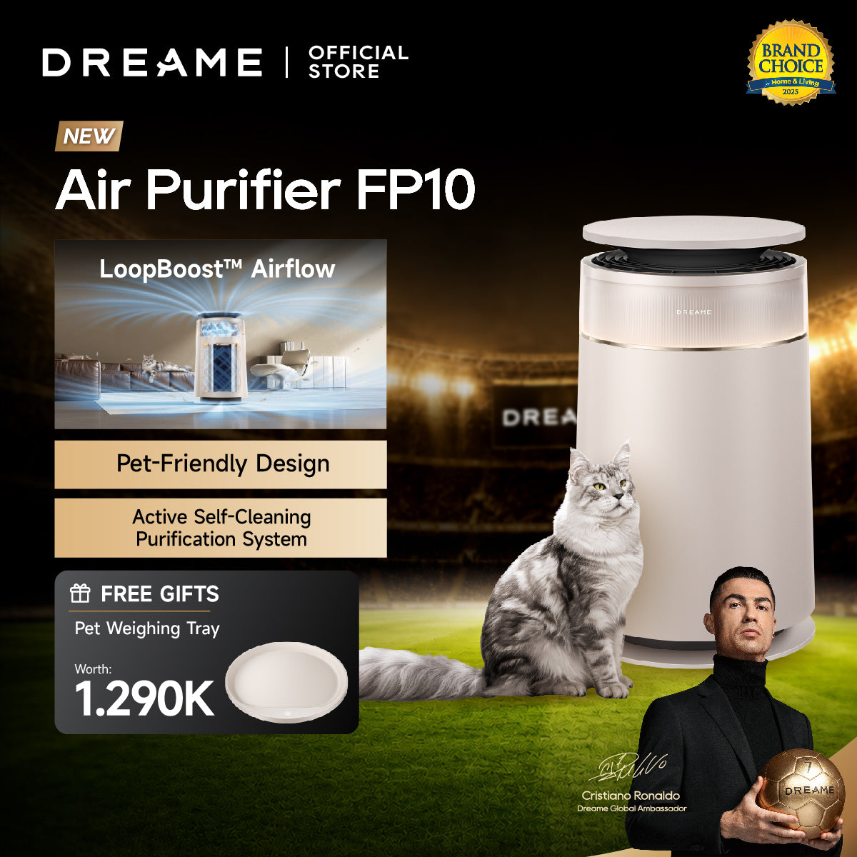 Dreame FP10 Pet Air Purifier